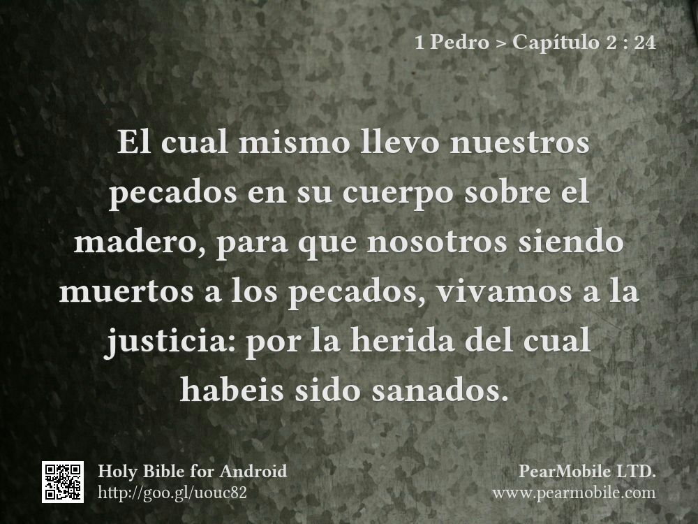 1 Pedro, Capítulo 2:24